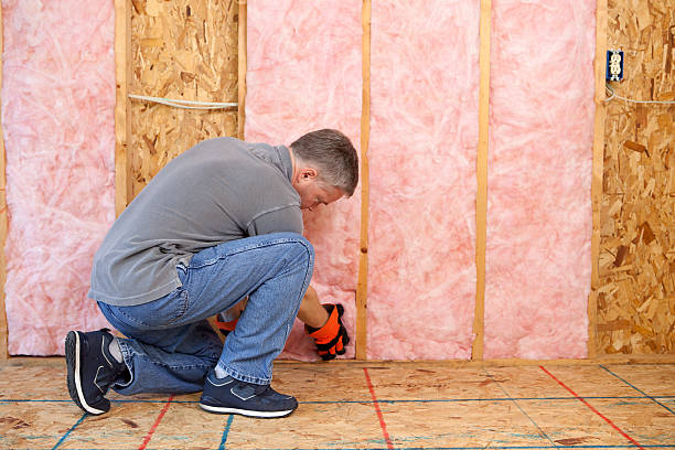 Best Insulation Installation Services in Tainter Lake, WI