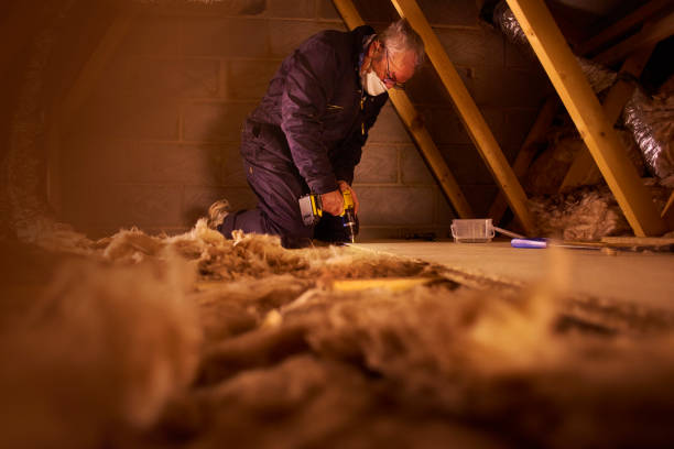 Best Residential Insulation in Tainter Lake, WI